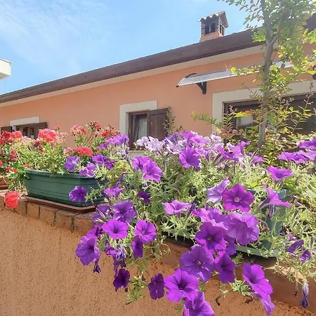 Apartment Mariela Novigrad (Istria)