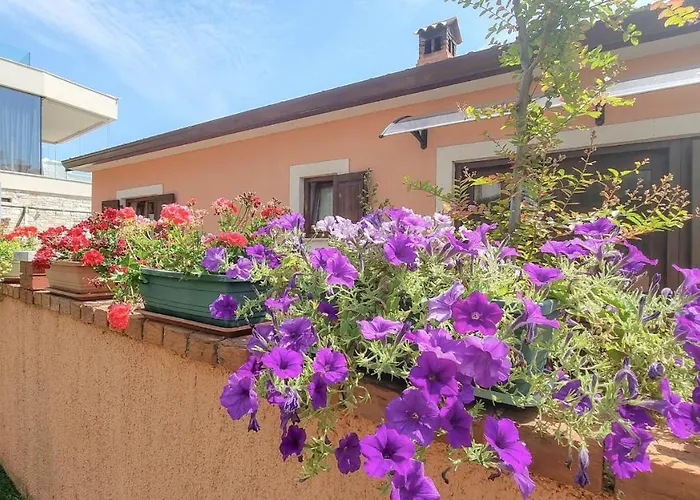 Apartament Mariela Novigrad (Istria)